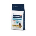 Advance Cão Sensitive Medium/Maxi Salmão e Arroz