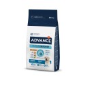 Advance Cão Maxi Adult Frango e Arroz