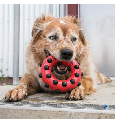 Brinquedo Kong Dotz Circulo - Large