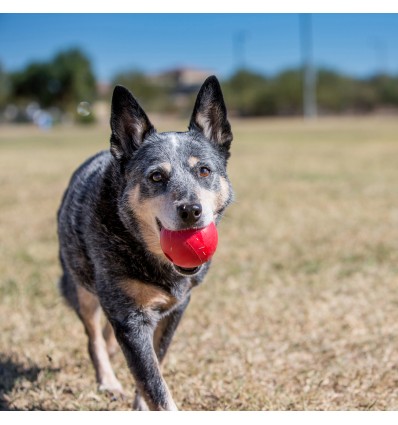 Brinquedo Kong Ball - Medium/Large 13-30kg