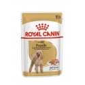 Royal Canin Poodle Adult, Cão, Húmidos, Adulto, Alimento