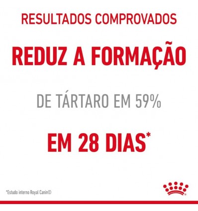 Royal Canin Oral Care, Gato, Seco, Adulto, Alimento/Ração