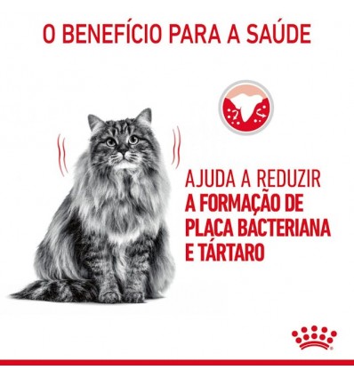 Royal Canin Oral Care, Gato, Seco, Adulto, Alimento/Ração