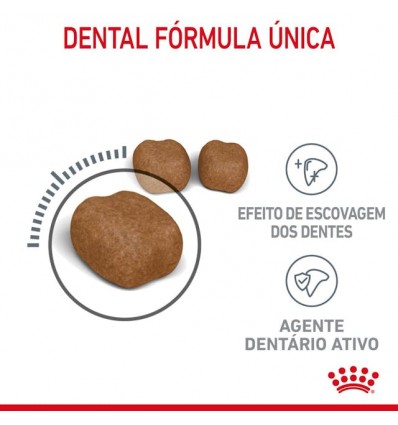 Royal Canin Oral Care, Gato, Seco, Adulto, Alimento/Ração