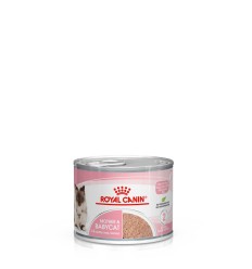 Royal Canin Mother e Babycat, Gatinhos, Húmidos, Alimento