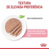 Royal Canin Mother e Babycat Húmidos Lata 195g 