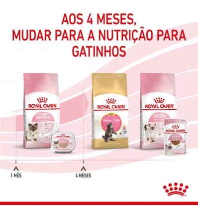 Royal Canin Mother e Babycat Húmidos Lata 195g 