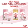 Royal Canin Mother e Babycat Húmidos Lata 195g 