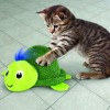 Brinquedo Kong Kneading Wrangler Tartaruga p/ Gatos 