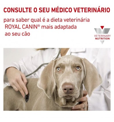 Royal Canin Hypoallergenic Canine 14Kg