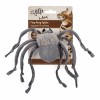 Brinquedo AFP Gato Ping Pong Spider com catnip