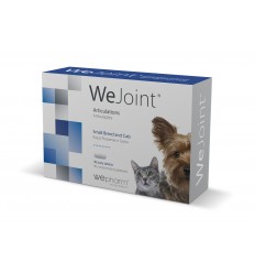 WeJoint Raças Pequenas e Gatos