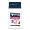 Advance Cão Urinary