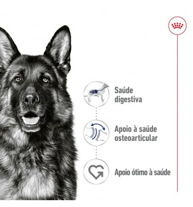 Royal Canin Maxi Adult, Cão, Húmidos em lata, Adulto, Alimento