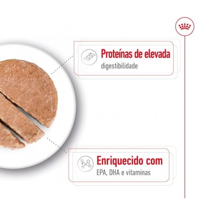 Royal Canin Maxi Ageing, Cão, Húmidos em lata, Adulto, Alimento