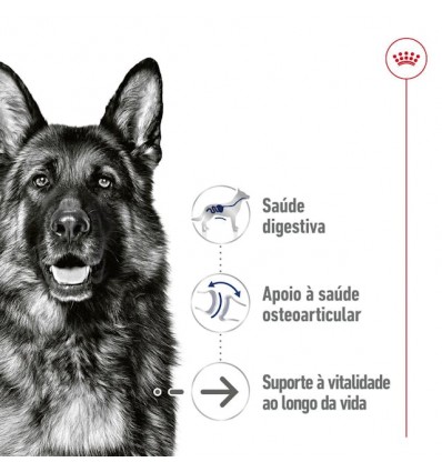 Royal Canin Maxi Ageing, Cão, Húmidos em lata, Adulto, Alimento