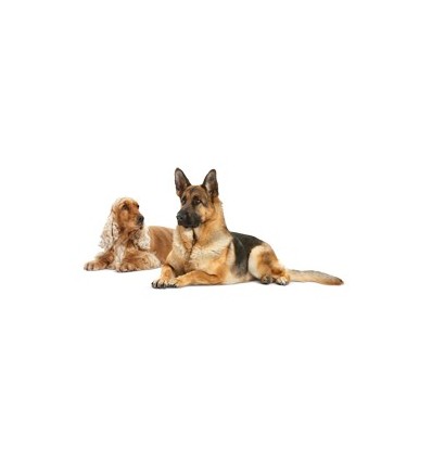 Royal Canin Hypoallergenic Small Dog 3,5Kg