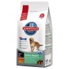 Hill's Science Plan Canine Large Breed Perfect Weight 12kg 