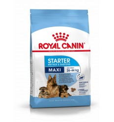 Royal Canin Maxi Starter, Cão, Seco, Adulto, Alimento/Ração