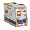 Royal Canin Chihuahua Adult Húmidos Saqueta 12x85g