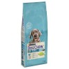 Purina Dog Chow Puppy Large Breed Peru 14kg