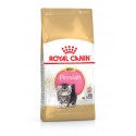 Royal Canin Kitten Persian, Gato, Seco, Gatinhos, Persa, Alimento/Ração