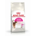 Royal Canin Aroma Exigent, Gato, Seco, Adulto, Alimento/Ração