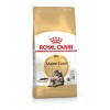 Royal Canin Maine Coon 31 2kg