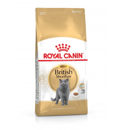 Royal Canin British Shorthair, Gato, Seco, Adulto, British Shorthair, Alimento/Ração