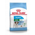 Royal Canin Mini Puppy, Cão, Seco, Cachorro, Alimento/Ração