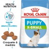 Royal Canin X-small, Cão, Seco, Puppy, Alimento/Ração