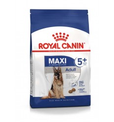 Royal Canin Maxi Adulto 5+, Cão, Seco, Sénior, Alimento/Ração