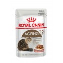 Royal Canin Ageing +12 (Gravy), Gatos, Húmidos, Sénior, Alimento