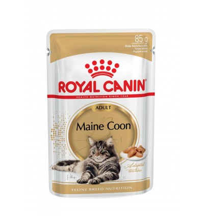 Royal Canin Maine Coon (Loaf), Gatos, Húmidos, Alimento