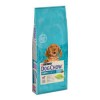 Purina Dog Chow Puppy Borrego 14Kg