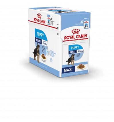 Royal Canin Maxi Puppy, Cão, Húmidos, Cachorro, Alimento