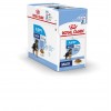 Royal Canin Maxi Puppy, Cão, Húmidos, Cachorro, Alimento