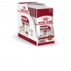 Royal Canin Maxi Adult, Cão, Húmidos, Adulto, Alimento