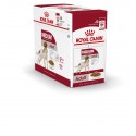 Royal Canin Medium Adult, Cão, Húmidos, Adulto, Alimento