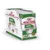 Royal Canin Mini Puppy, Cão, Húmidos, Cachorro, Alimento