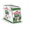 Royal Canin Mini Ageing 12+, Cão, Húmidos, Sénior, Alimento