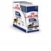 Royal Canin Maxi Adult, Cão, Húmidos, Adulto, Alimento