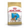 Royal Canin Boxer Junior, Cão, Seco, Júnior, Alimento/Ração