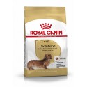 Royal Canin Dachshund Adult, cão, Seco, Adulto, Alimento/Ração