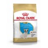 Royal Canin French Bulldog Junior, Cão, Seco, Júnior, Alimento/Ração