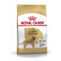 Royal Canin Golden Retriever Adult, Cão, Seco, Adulto, Alimentação/Ração