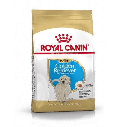 Royal Canin Golden Retriever, Cão, Seco, Júnior, Alimentação/Ração