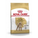 Royal Canin Poodle Adult, Cão, Seco, Adulto, Caniche, Alimento/Ração