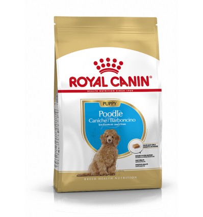 Royal Canin Poodle Junior 33 500g