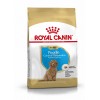 Royal Canin Poodle Junior 33 500g